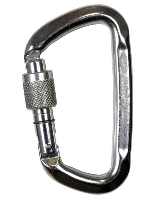 Carabiniera Climbing Technology D-Shape SG